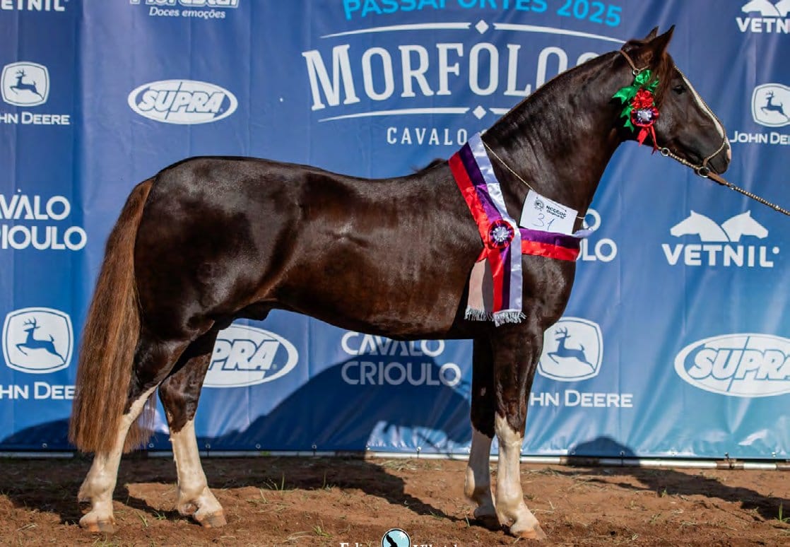 Formosa do Rincão Segredo, filha de As Malke Tormento-Te