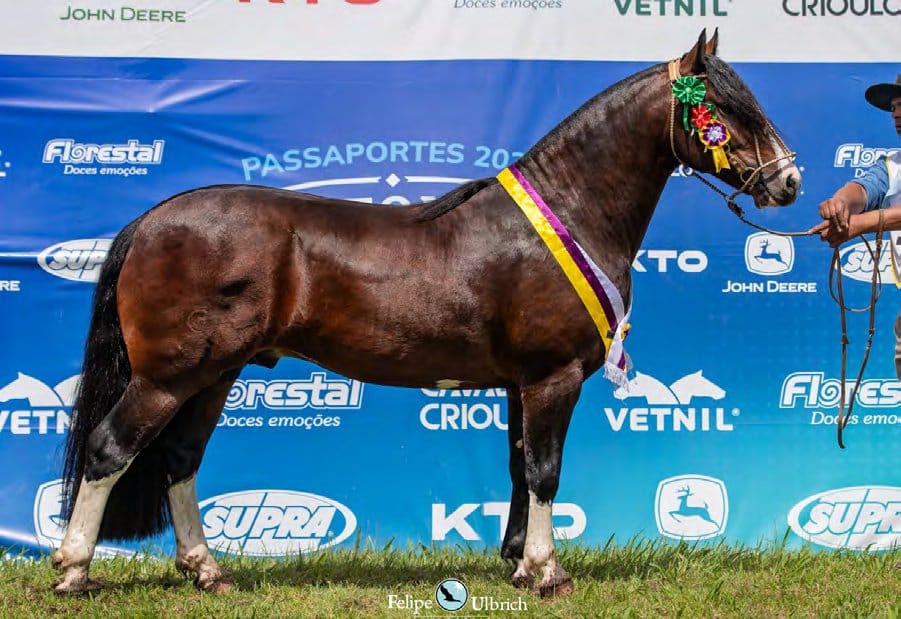 SJ Mágica, filha de Capitão do Purunã