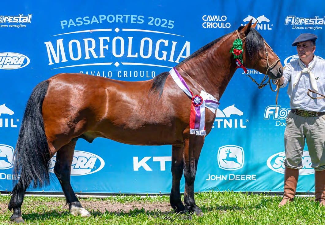 Rincón La Compostella, filho de Chamamé Nochero