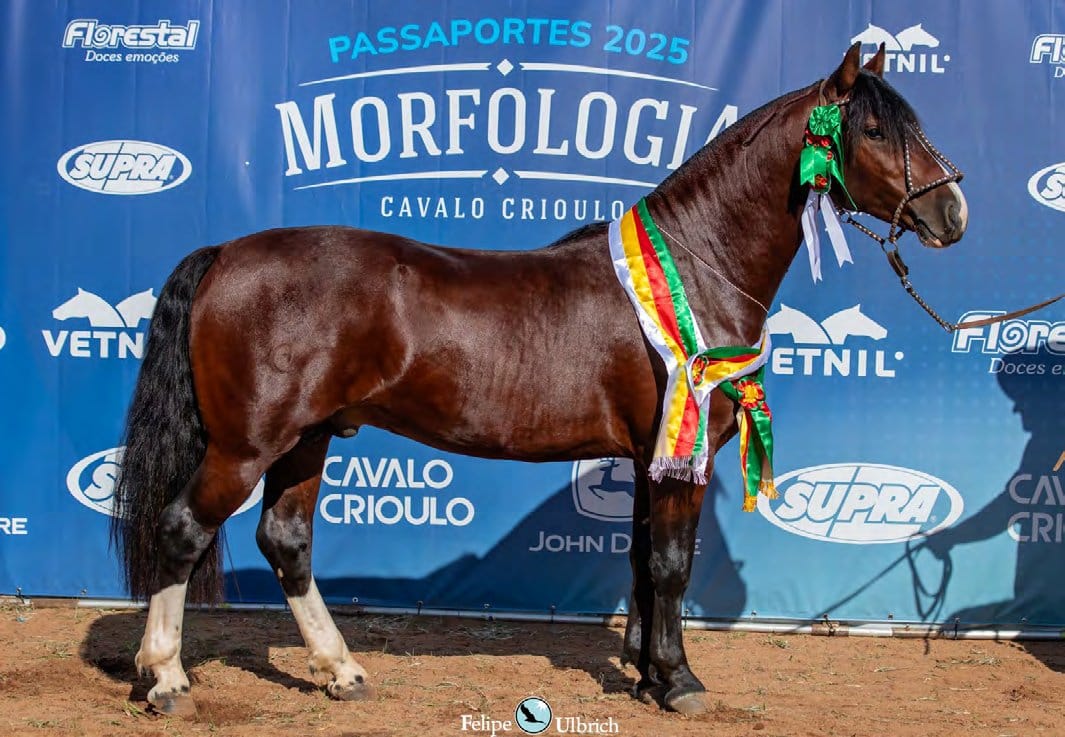 Dinastia da Boa Vista, filha de Xeque Mate da Boa Vista
