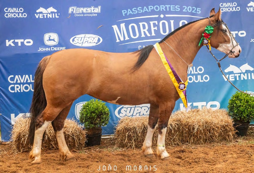 Marconi Tatuagem, filha de Xeque Mate da Boa Vista